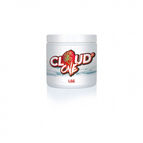 Cloud One - 200g